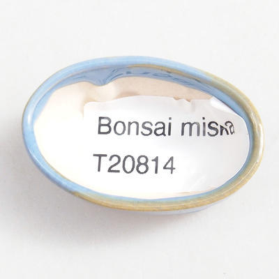 Mini Bonsai Schüssel 4 x 2,5 x 1,5 cm, Farbe blau - 3