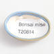 Mini Bonsai Schüssel 4 x 2,5 x 1,5 cm, Farbe blau - 3/3