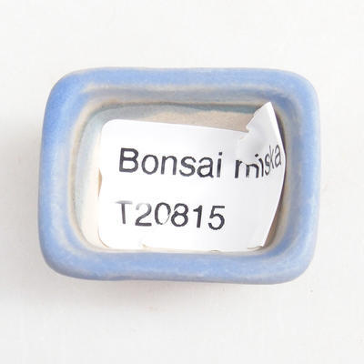 Mini Bonsai Schüssel 3,5 x 2,5 x 2 cm, Farbe blau - 3
