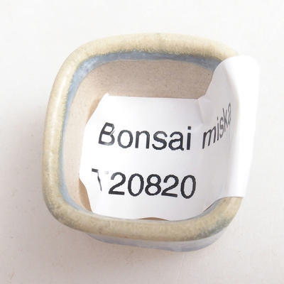 Mini Bonsai Schüssel 3 x 3 x 2 cm, Farbe blau - 3