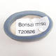 Mini Bonsai Schüssel 4 x 2,5 x 2 cm, Farbe blau - 3/3