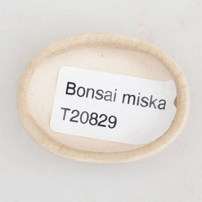 Mini Bonsai Schüssel 4,5 x 3,5 x 1,5 cm, beige Farbe - 3