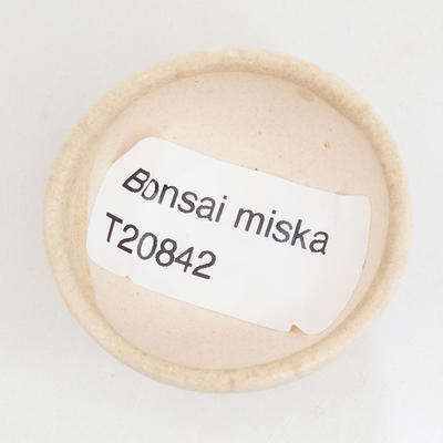 Mini Bonsai Schüssel 4 x 4 x 2 cm, beige Farbe - 3