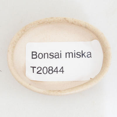 Mini Bonsai Schüssel 4,5 x 3,5 x 1 cm, beige Farbe - 3