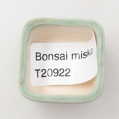 Mini Bonsai Schüssel 2,5 x 2,5 x 1,5 cm, Farbe grün - 3