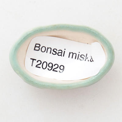 Mini Bonsai Schüssel 4 x 2,5 x 2 cm, Farbe grün - 3