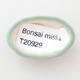Mini Bonsai Schüssel 4 x 2,5 x 2 cm, Farbe grün - 3/3
