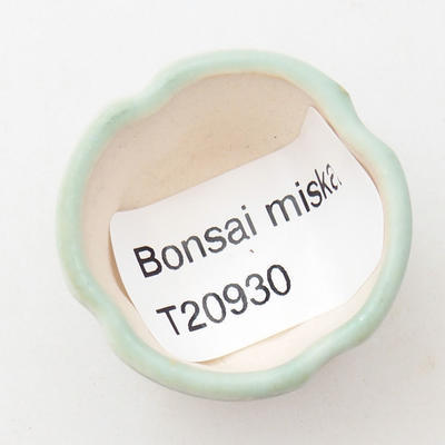 Mini Bonsai Schüssel 3 x 3 x 2 cm, Farbe grün - 3