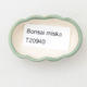 Mini-Bonsai-Schüssel 5,5 x 3,5 x 1,5 cm, Farbe grün - 3/3