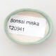 Mini Bonsai Schüssel 4 x 3 x 1 cm, Farbe grün - 3/3