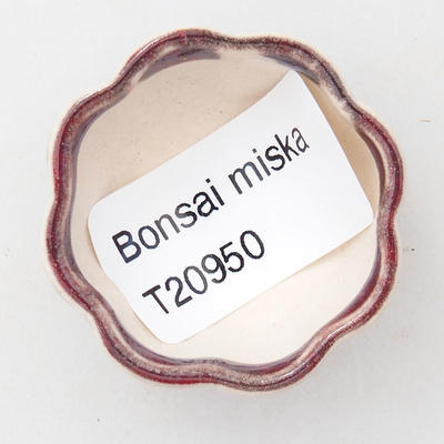 Mini Bonsai Schüssel 3,5 x 3,5 x 2 cm, Farbe rot - 3