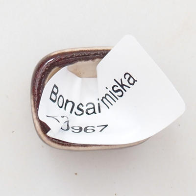 Mini Bonsai Schüssel 2,5 x 2 x 2 cm, Farbe rot - 3