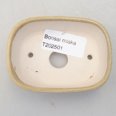 Mini Bonsai Schüssel 8,5 x 6 x 2,5 cm, beige Farbe - 3