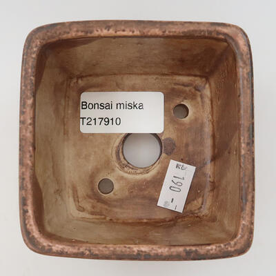 Keramik-Bonsaischale 9 x 9 x 5,5 cm, Farbe rosa - 3