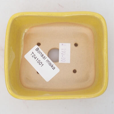 Keramik-Bonsaischale 10 x 8,5 x 3,5 cm, Farbe gelb - 3