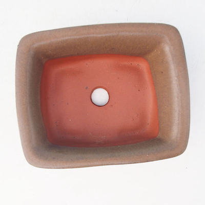 Bonsai Keramikschale H 11, braun - 3