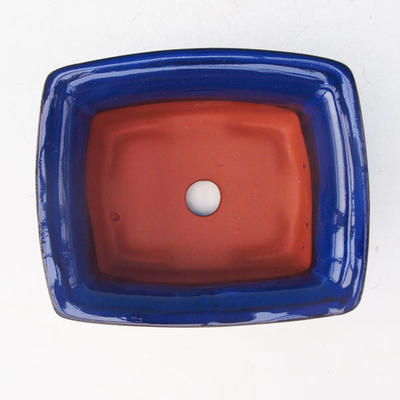 Bonsai Keramikschale H 11, blau - 3