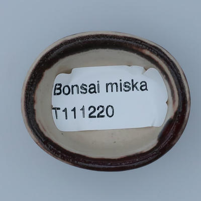 Mini Bonsai Schale - 3