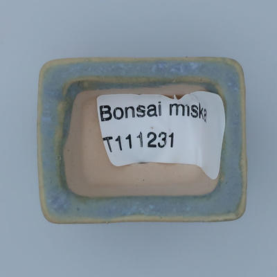 Mini Bonsai Schale - 3