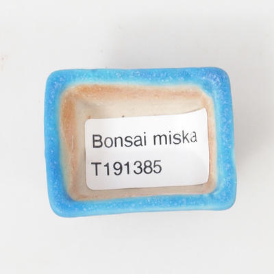 Mini-Bonsaischale 4,5 x 3,5 x 2,5 cm, Farbe blau - 3