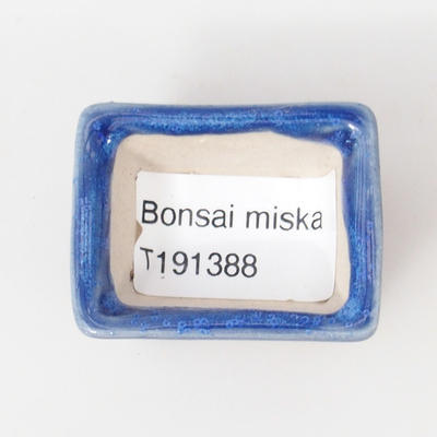 Mini-Bonsaischale 4 x 3 x 2,5 cm, Farbe blau - 3