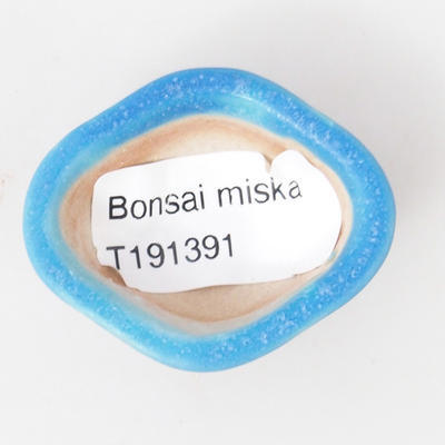 Mini Bonsai Schüssel 5 x 4 x 2 cm, Farbe blau - 3