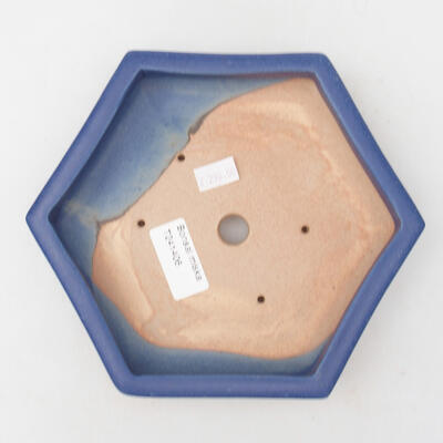 Keramik-Bonsaischale 19,5 x 17 x 3,5 cm, Farbe Blau - 3
