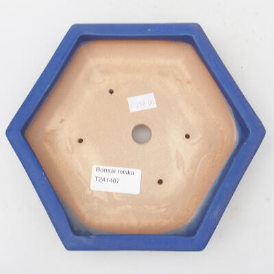 Keramik-Bonsaischale 19,5 x 17 x 3,5 cm, Farbe Blau - 3