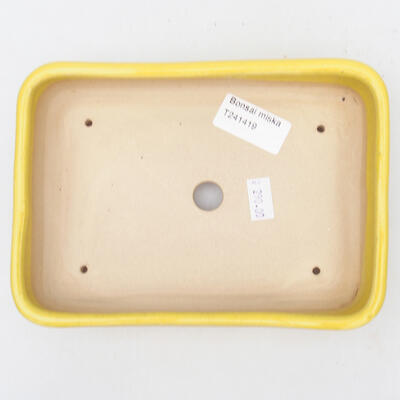 Keramik-Bonsaischale 18 x 13 x 3,5 cm, Farbe gelb - 3
