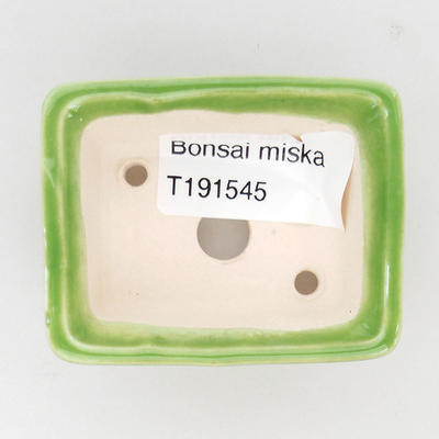 Mini-Bonsaischale 6 x 4,5 x 2,5 cm, Farbe grün - 3