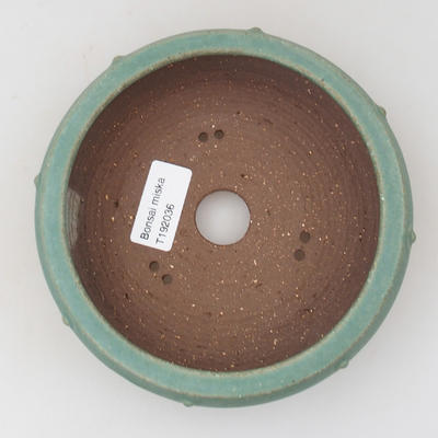 Bonsaischale aus Keramik - 14,5 x 14,5 x 4,5 cm, Farbe grün - 3