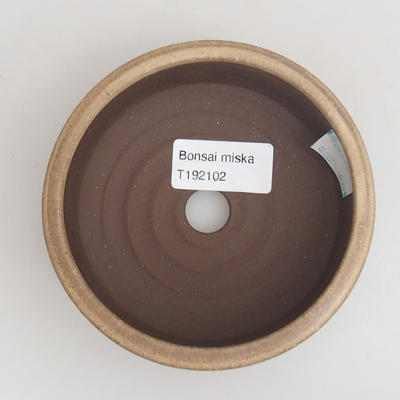 Keramik Bonsai Schüssel 11 x 11 x 4 cm, Farbe beige - 3
