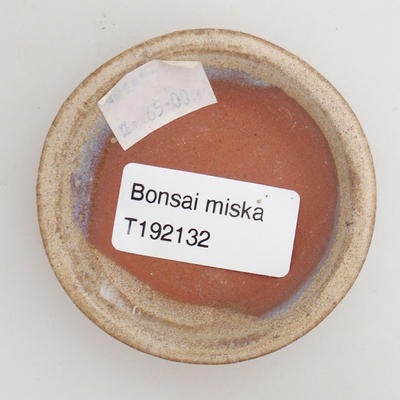 Keramik Bonsaischale 6,5 x 6,5 x 1,5 cm, Farbe beige - 3