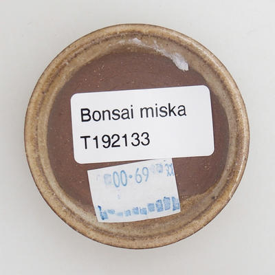 Keramik Bonsaischale 5,5 x 5,5 x 1 cm, Farbe beige - 3