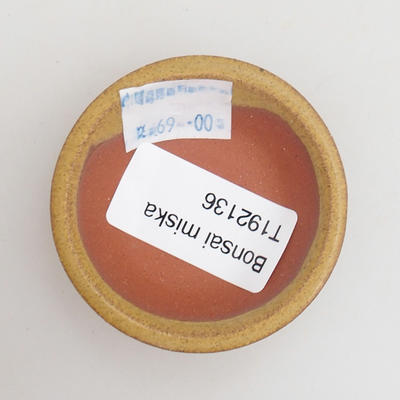 Keramik Bonsai Schüssel 5,5 x 5,5 x 1,5 cm, gelbe Farbe - 3