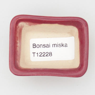 Mini Bonsai Schüssel 6 x 4,5 x 2,5 cm, Farbe burgund - 3