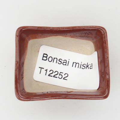 Mini-Bonsaischale 4,5 x 3,5 x 2,5 cm, Farbe braun - 3