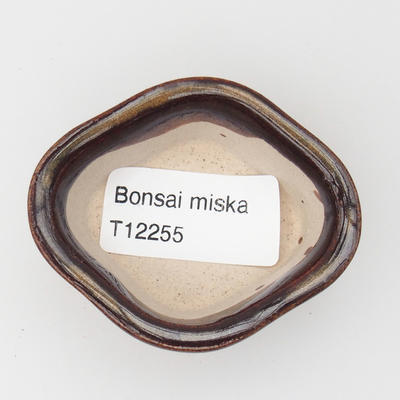 Mini Bonsai Schüssel 6 x 5 x 2,5 cm, Farbe braun - 3