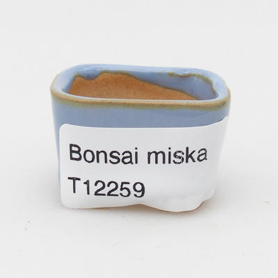 Mini-Bonsaischale 3,5 x 3,5 x 2,5 cm, Farbe blau - 3