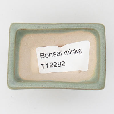 Mini Bonsai Schüssel - 3