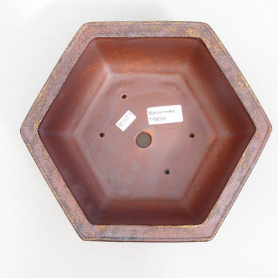 Keramik Bonsai Schüssel 24 x 21,5 x 8 cm, braune Farbe - 3