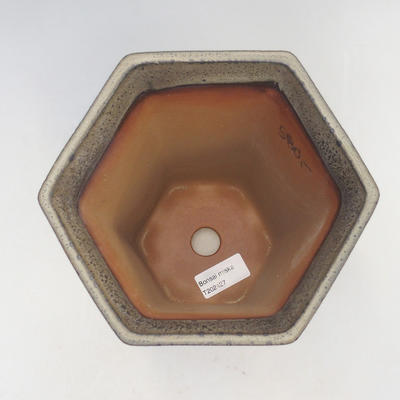 Bonsai-Schale 17 x 15 x 20,5 cm, Farbe grau - 3