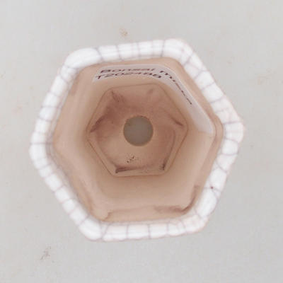 Mini Bonsai Schüssel 5 x 4,5 x 6,5 cm, Krebse Farbe - 3