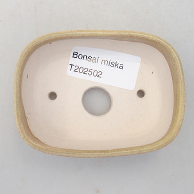 Mini Bonsai Schüssel 8,5 x 6 x 2,5 cm, beige Farbe - 3