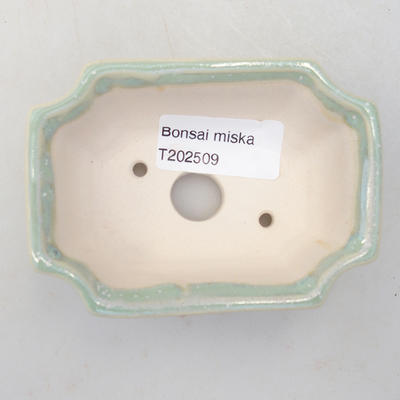 Mini Bonsai Schüssel 9,5 x 7 x 3,5 cm, Farbe grün - 3