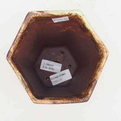 Keramik Bonsai Schüssel 2. Wahl - 13 x 11 x 17 cm, braun-gelbe Farbe - 3