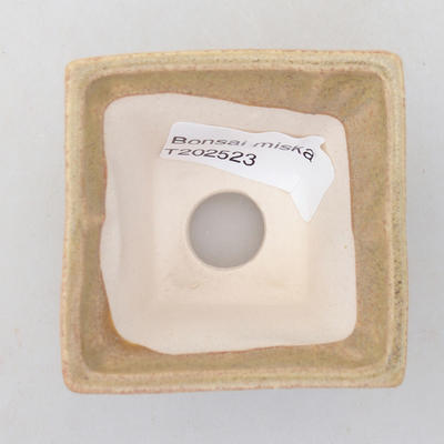 Mini Bonsai Schüssel 5,5 x 5,5 x 4 cm, beige Farbe - 3