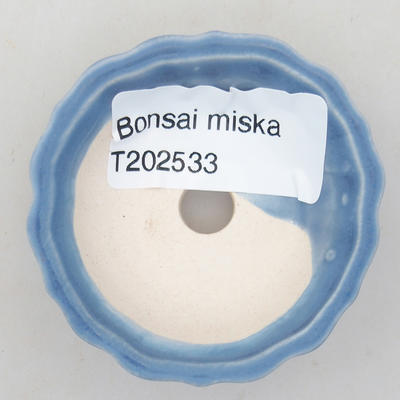 Mini Bonsai Schüssel 5,5 x 5,5 x 2 cm, Farbe blau - 3