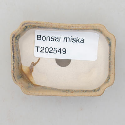 Mini Bonsai Schüssel 6 x 4 x 1,5 cm, Farbe beige-grün - 3