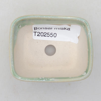 Mini Bonsai Schüssel 6 x 4,5 x 3 cm, Farbe grün - 3